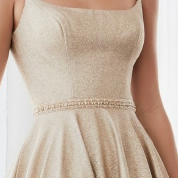 CHAMPAGNE GOLD GLITTER BALL GOWN NWT - Picture 3 of 8